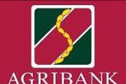 Agribank Chi nhánh Nam Nghệ An thông báo tuyển dụng lao động đợt 2 năm 2024