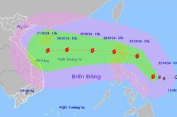 Chủ động ứng phó với mưa lớn và bão