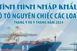Infographics: Việt Nam nhập khẩu 124.983 ô tô nguyên chiếc các loại trong 9 tháng năm 2024