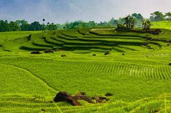 Thời tiết Hà Tĩnh, Thanh Hóa ngày 25/10: Trời nắng, sáng sớm và đêm có mưa nhỏ vài nơi