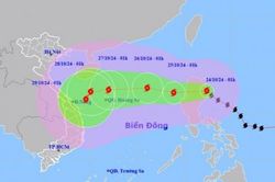 Dự báo thời tiết hôm nay 24/10/2024: Bão Trà Mi hướng vào miền Trung nước ta sẽ gây mưa lớn diện rộng