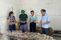 Nghiệm thu mô hình sản xuất và chế biến các sản phẩm từ khoai lang