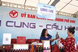 Khai trương 40 gian hàng đặc sản, sản phẩm OCOP ở phố đi bộ thành phố Vinh