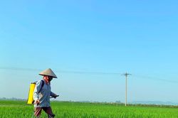 Nghệ An quan tâm đầu tư hệ thống bể chứa thu gom rác thải bảo vệ thực vật