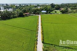 Đường quê 'Sáng - xanh - sạch - đẹp' nhờ nông thôn mới