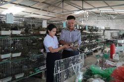 Nền tảng để tạo đà cho phát triển
