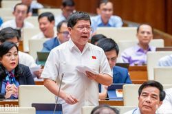 Đại biểu Quốc hội: Có dấu hiệu lũng đoạn, thổi giá bất động sản