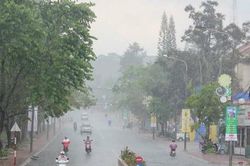 Thời tiết Thanh Hóa, Hà Tĩnh ngày 29/10: Có mưa, sáng và đêm trời rét