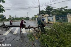 Khẩn trương khắc phục hậu quả của bão số 6, mưa lớn, lũ quét và lốc xoáy