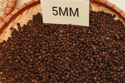 Giá tiêu hôm nay 29/10/2024: Giảm mạnh đến 2,500 đồng/kg