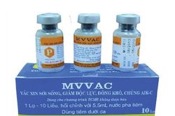 Thành phố Hồ Chí Minh: S ố ca nhiễm sởi ở trẻ dưới 9 tháng tuổi gia tăng