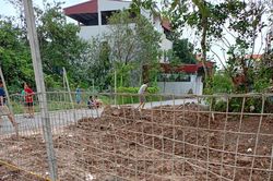 Nhiều vi phạm về đất đai ở Thường Tín cần được xem xét, xử lý dứt điểm