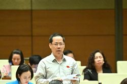 Đại biểu Quốc hội đoàn Nghệ An thảo luận về dự thảo Luật Phòng không nhân dân