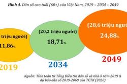 Già hóa dân số là thách thức với hệ thống an sinh xã hội tại Việt Nam