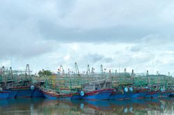Trả lời kiến nghị cử tri huyện Quỳnh Lưu về vấn đề nạo vét luồng lạch cảng cá Lạch Quèn