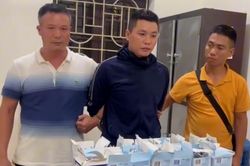 Ngụy trang 9,3 kg ketamin trong 16 kiện sữa từ châu Âu về Việt Nam