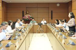 Ủng hộ việc tổ chức chính quyền đô thị thành phố Hải Phòng và thành lập thành phố Huế trực thuộc Trung ương