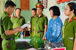 Vì sao cựu Tổng giám đốc Công ty cổ phần Bách Đạt An bị khởi tố ?