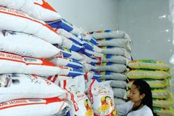 Giá lúa gạo hôm nay 1/11/2024: Gạo thành phẩm giảm 50 đồng/kg