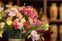 Ngồi xuống uống một chén trà