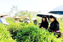 Quy định chính sách hỗ trợ về đất đai đối với đồng bào dân tộc thiểu số
