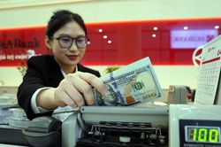 Tỷ giá USD/VND biến động quanh mức 3% hằng năm