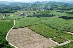 Hạn mức giao đất nông nghiệp theo Luật Đất đai 2024