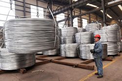 Các mặt hàng kim loại đồng loạt tăng giá, trừ chì LME