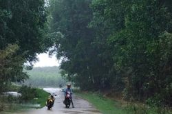 Hơn 4.600 học sinh miền núi Hà Tĩnh nghỉ học phòng mưa lũ