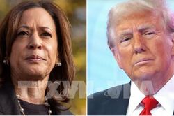 Trực tiếp bầu cử Mỹ: Những chiến thắng đầu tiên của ông Trump và bà Harris
