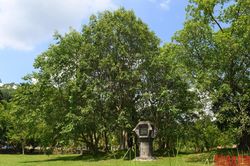 Xây dựng Đảng bộ Khối các cơ quan Trung ương trong sạch, vững mạnh