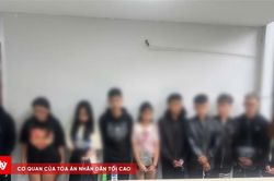 Bộ trưởng Công an chỉ đạo xử lý nghiêm vụ 'quái xế' đâm tử vong cô gái khi đang dừng đèn đỏ