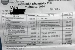 TP. Hồ Chí Minh: Phụ huynh bức xúc vì phải thanh toán học phí qua app của bên thứ ba