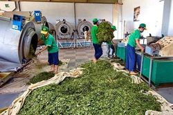 Lâm Đồng: Cải thiện môi trường đầu tư, gỡ khó cho doanh nghiệp