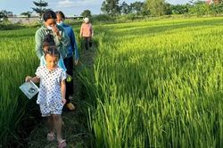 Những hoạt động tích cực của Tổ Truyền thông cộng đồng khu phố Vinh Thanh
