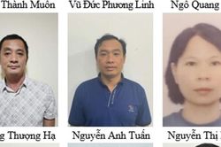 Lý do khiến Chủ tịch khoáng sản Hưng Thịnh cùng 8 thuộc cấp vướng vòng lao lý