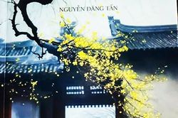 Cảm xúc cội nguồn trong 'Ru những tàn phai'