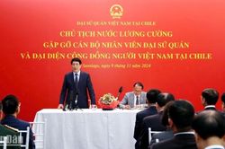 Phát huy vai trò cầu nối thúc đẩy và làm sâu sắc hơn nữa mối quan hệ đặc biệt Việt Nam-Chile