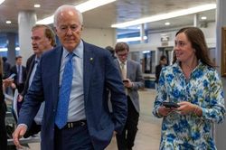 Ông D.Trump yêu cầu Thượng viện phê duyệt bổ nhiệm không cần bỏ phiếu