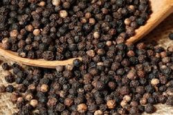 Giá tiêu hôm nay 11/11/2024: Giảm trung bình 1,000 đồng/kg