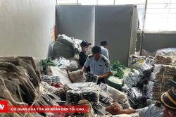 Thu giữ hơn 10.000 sản phẩm có dấu hiệu giả mạo nhãn hiệu Gucci, Nike, Lacoste