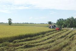 Huyện Tháp Mười phát huy tinh thần đoàn kết xây dựng quê hương giàu đẹp