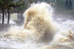 Bão số 7 một ngày giảm 6 cấp, bão Toraji giật cấp 15 tiến nhanh vào Biển Đông