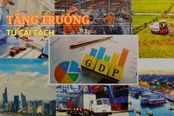 Tăng trưởng từ cải cách