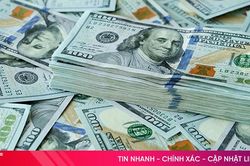 Tỷ giá USD hôm nay 12/11/2024: Đồng USD tăng nhẹ