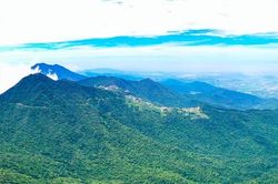 Cho thuê 68 ha rừng Tam Đảo làm nghỉ dưỡng, thu về mỗi năm khoảng 2 tỷ đồng
