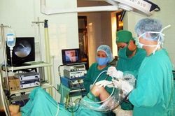Hiệu quả từ chuyển giao, chủ động thực hiện kỹ thuật cao