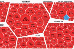 Bán tháo, chứng khoán 'cắm đầu'