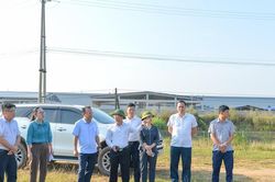 Quy định về quyền giám sát của công dân đối với việc quản lý, sử dụng đất đai