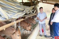 Thay đổi nhận thức của bà con về chăn nuôi bền vững